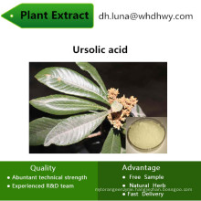 Ursolic CAS: 77-52-1 Enhance Immune Function Ursolic Acid Ursolic